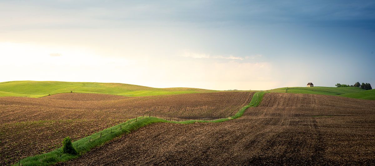 Photo of Plowed Farmland